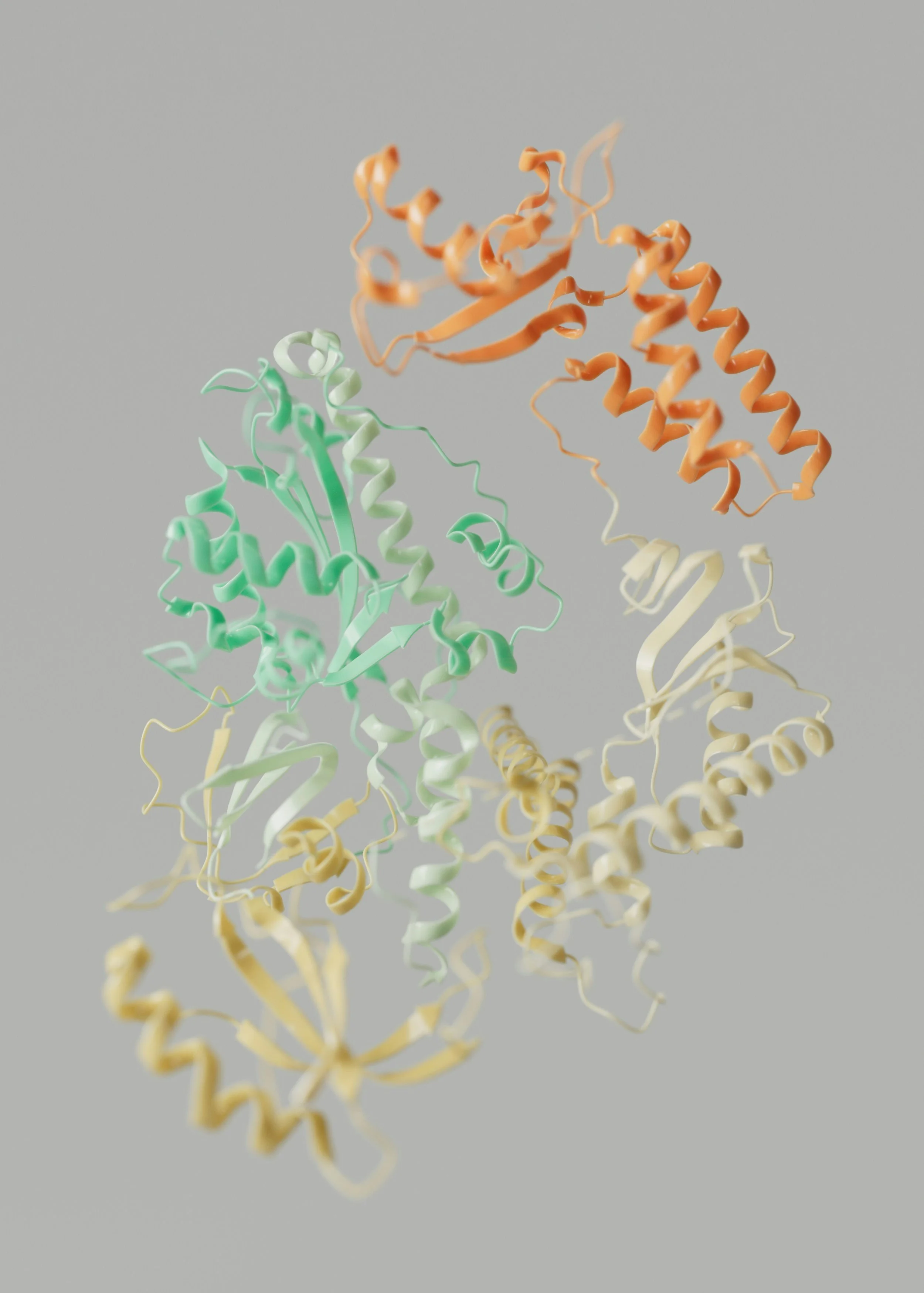 Molekulare Peptid-Struktur