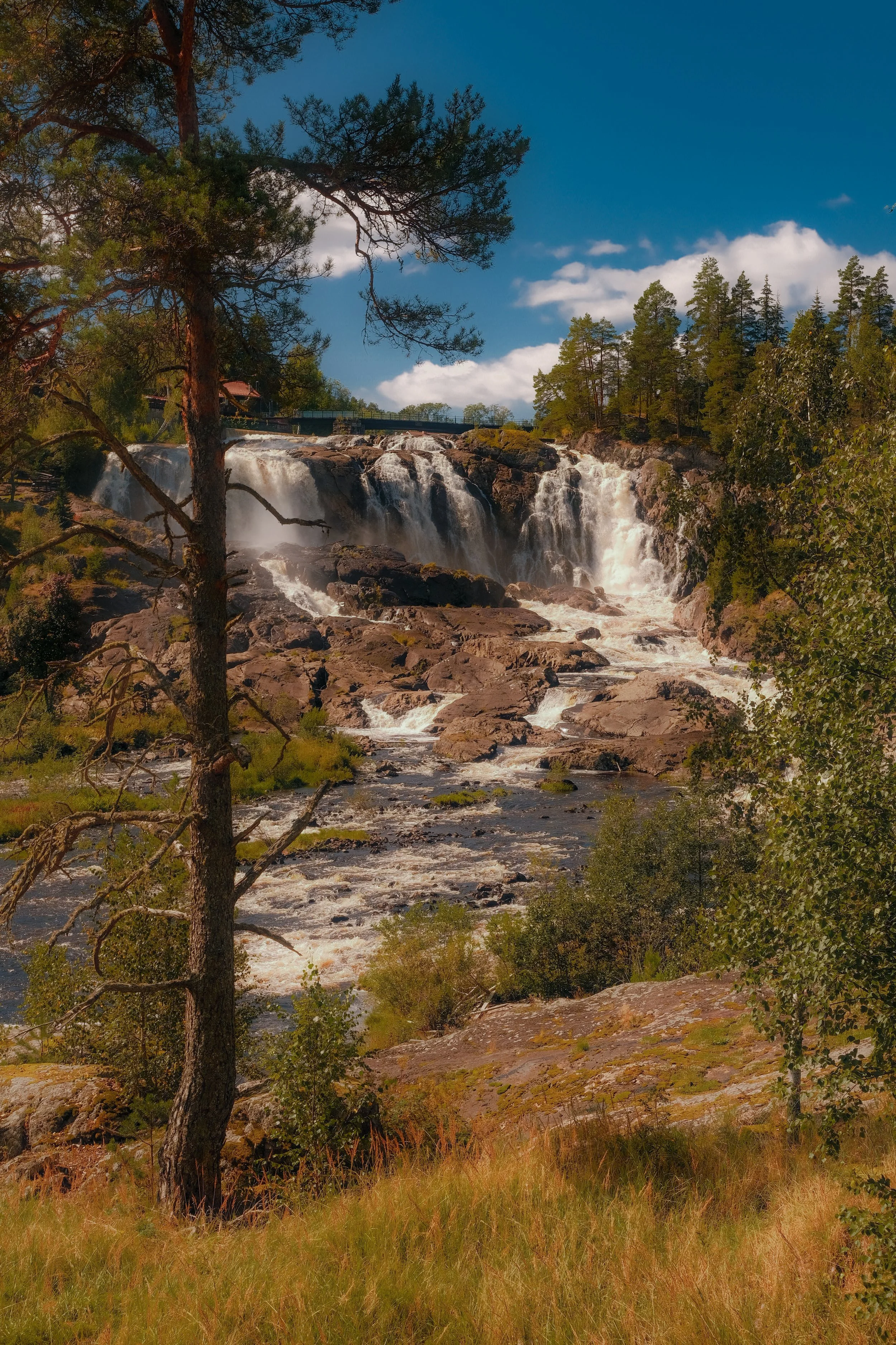 DSCF0683.jpg