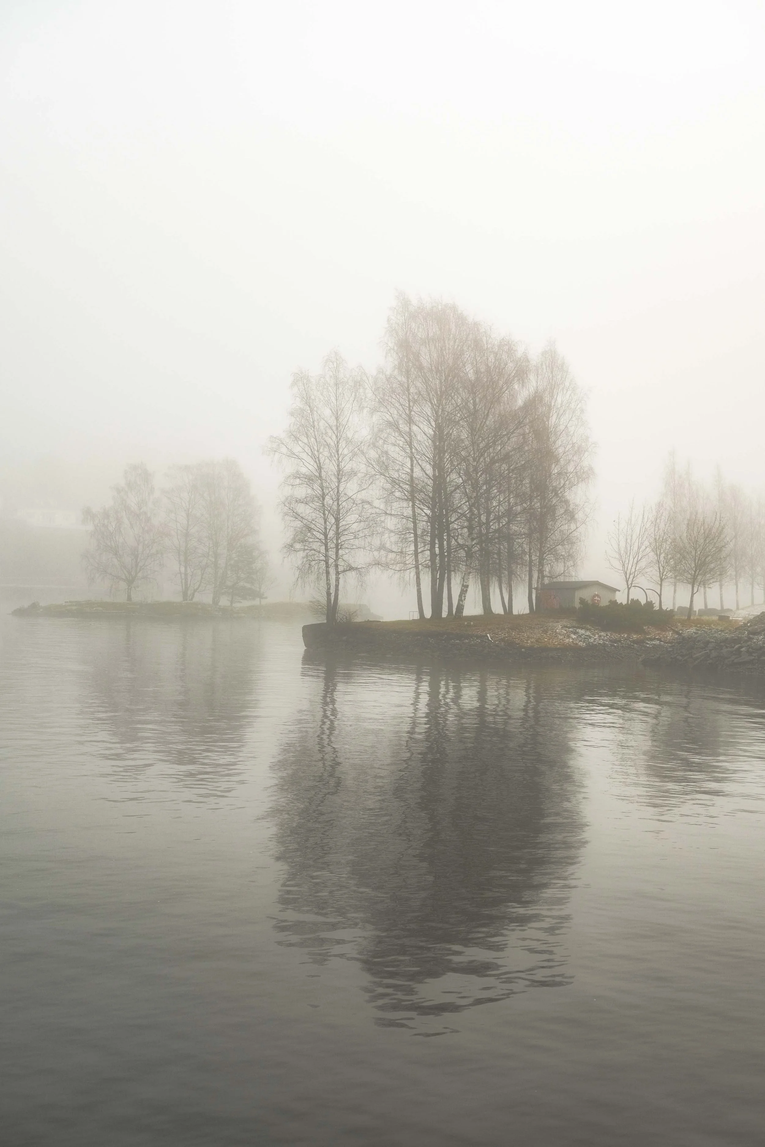 DSCF1900.jpg