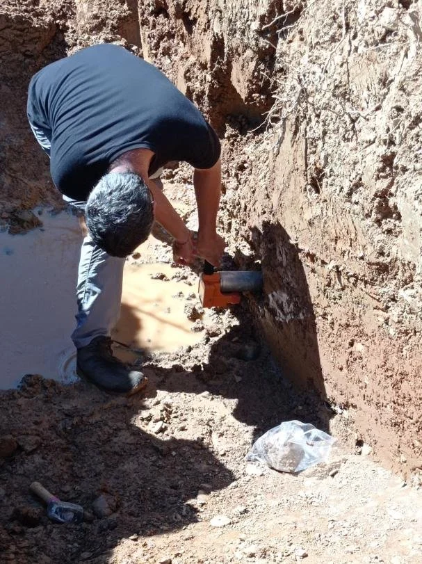 Un estudio en los Pirineos publicado por miembros de Culxeo y la UAB citado en la Prensa en Cataluña