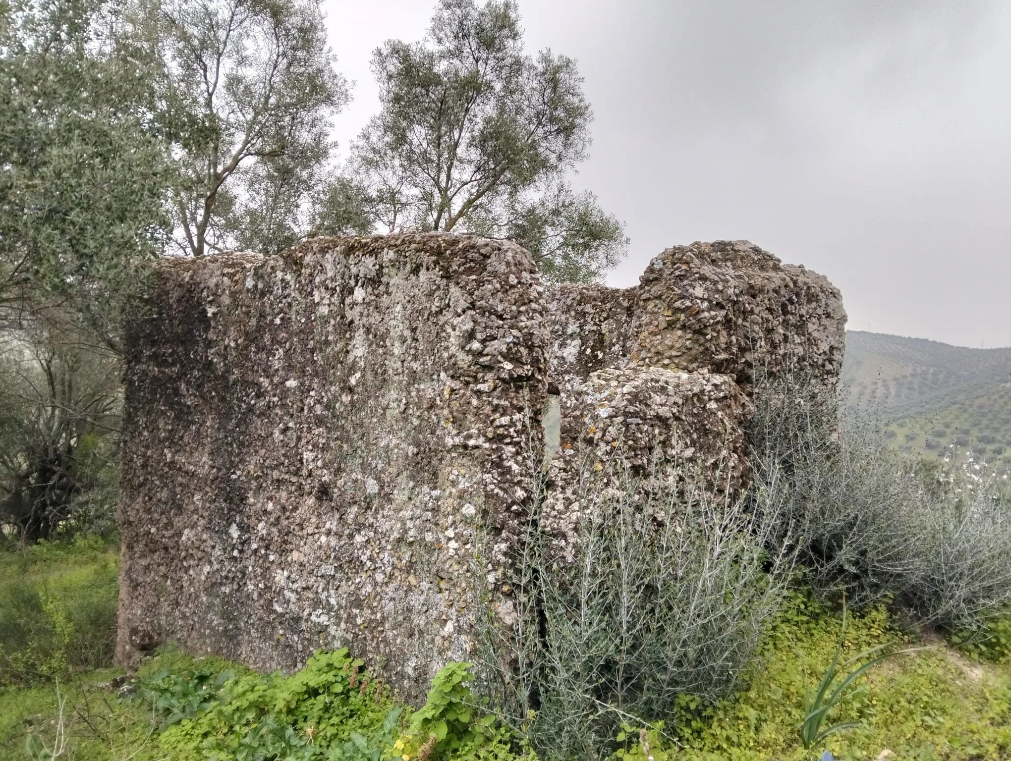 El grupo Culxeo participa en la datación de cisternas romanas en el yacimiento de Ladera de Morana (Lucena, Córdoba)