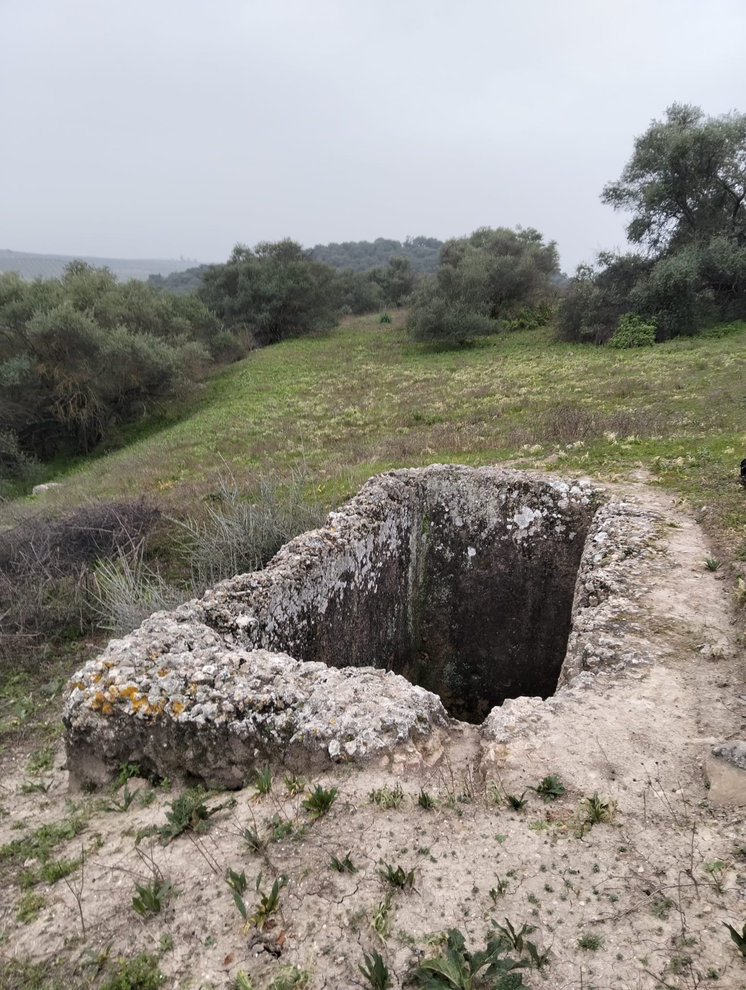 WhatsApp Image 2026-03-05 at 18.43.30(3).jpeg