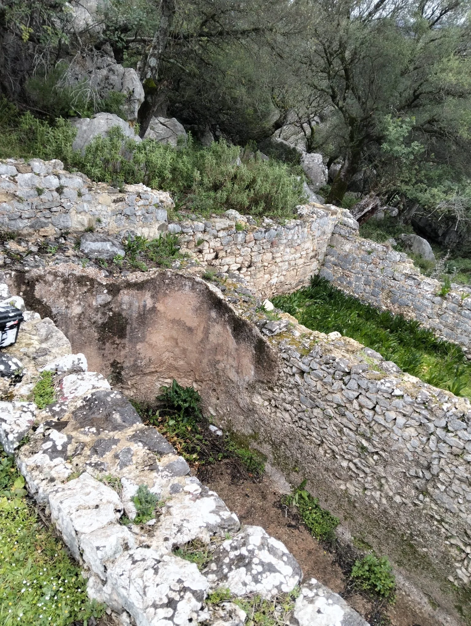 WhatsApp Image 2026-03-05 at 18.54.41(6).jpeg