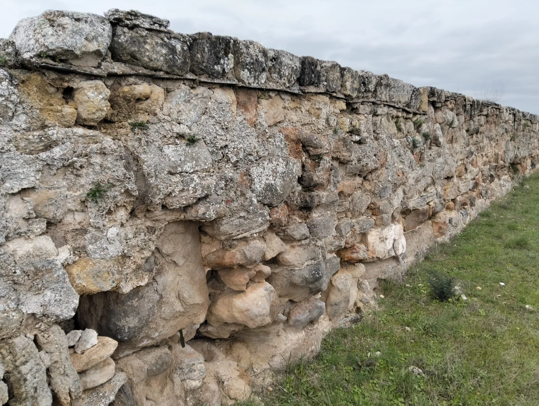 Culxeo y dos equipos de las universidades do Minho y Alcalá de Henares participan en trabajo de campo en Recópolis (Guadalajara)