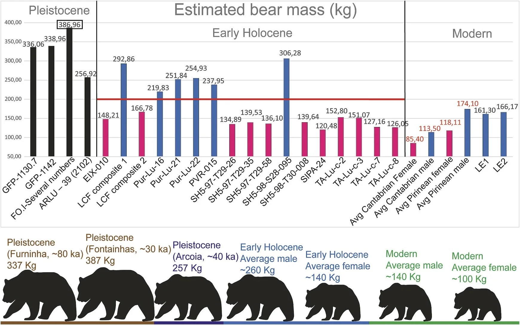 Pleistocene brown bears from Portugal: Morphometric trends, paleoenvironmental drivers and paleobiological inferences&nbsp;