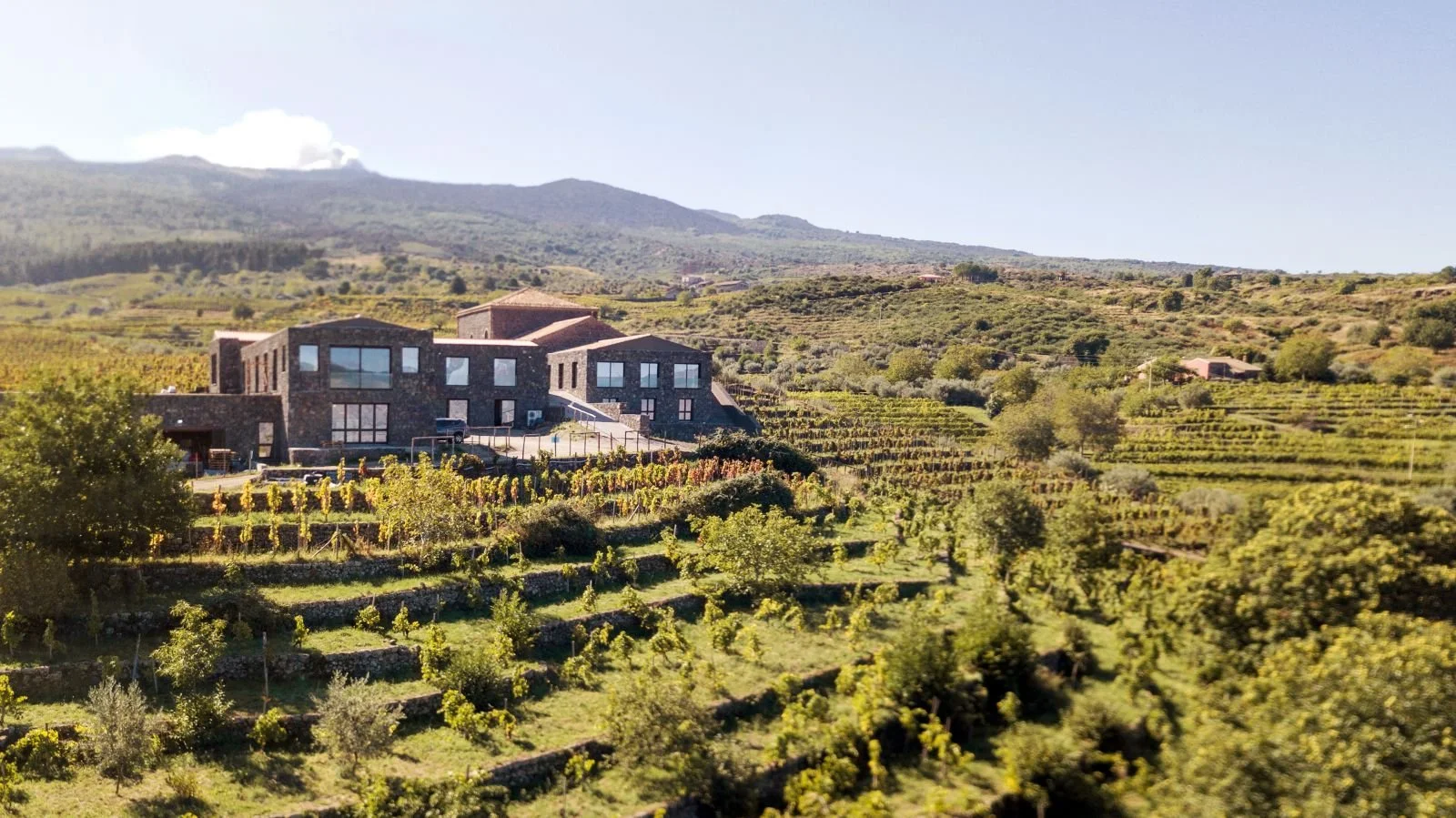 A modern stone building surrounded by vineyard-covered hills and mountains.
