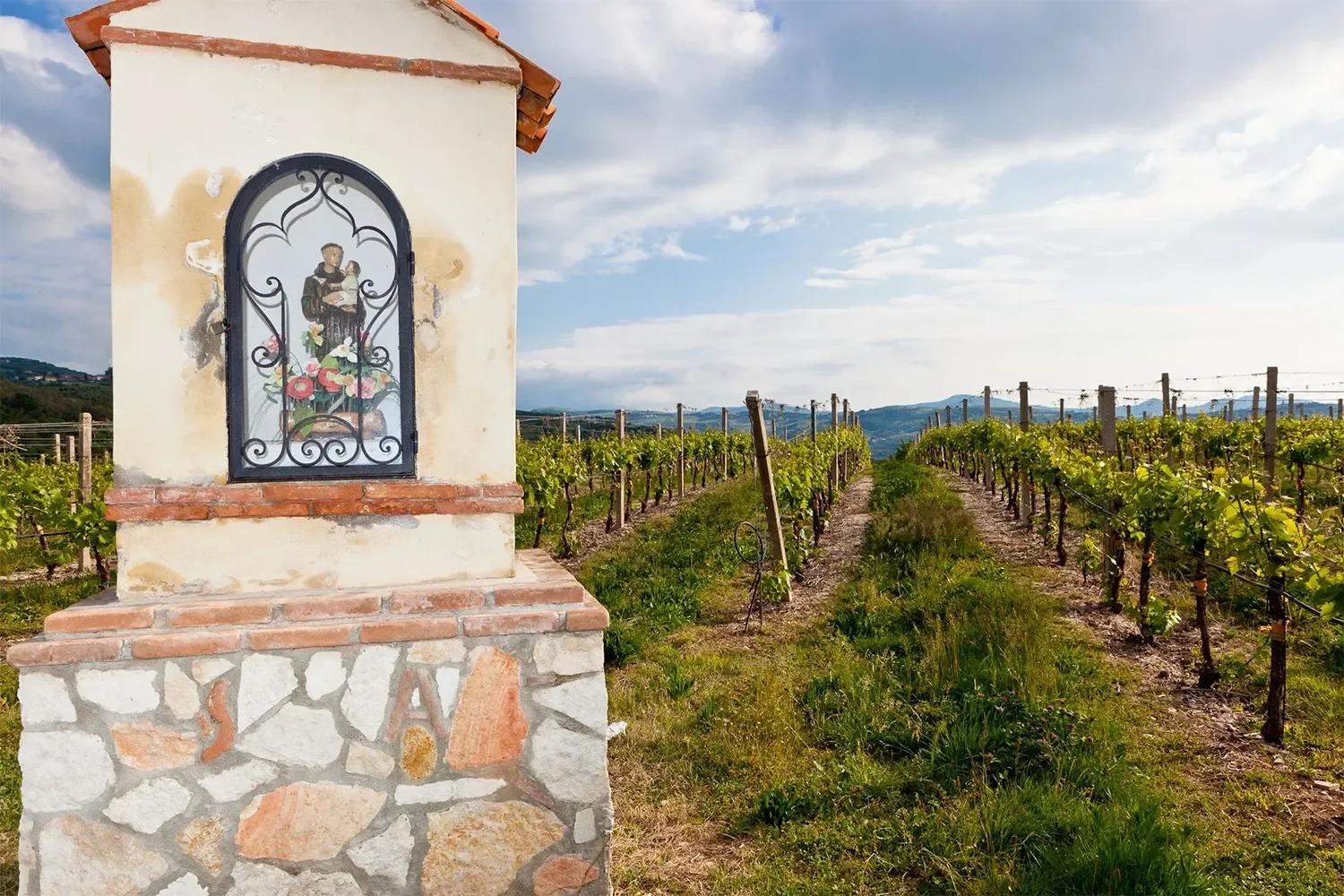 Idelma from Tenuta Sant'Antonio Now Available from C&amp;C Wines