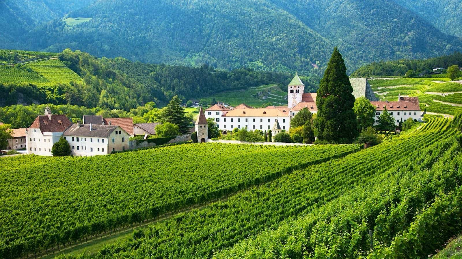 A scenic view of a European village surrounded by lush green vineyards, with a church and other white buildings nestled among tall trees and rolling hills.