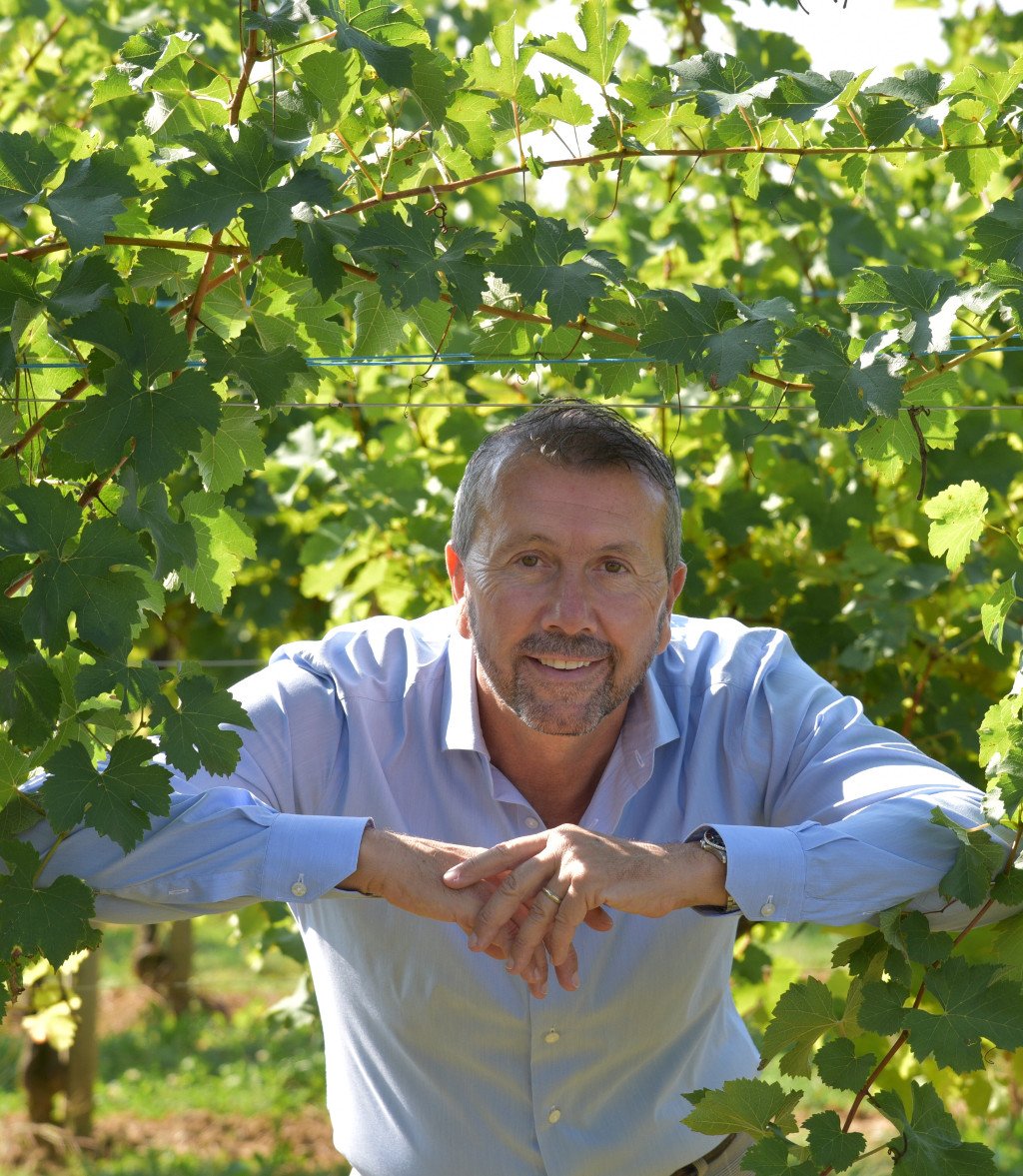 A man in a light blue dress shirt leaning on a surface, smiling, surrounded by lush green grapevine leaves in a vineyard.