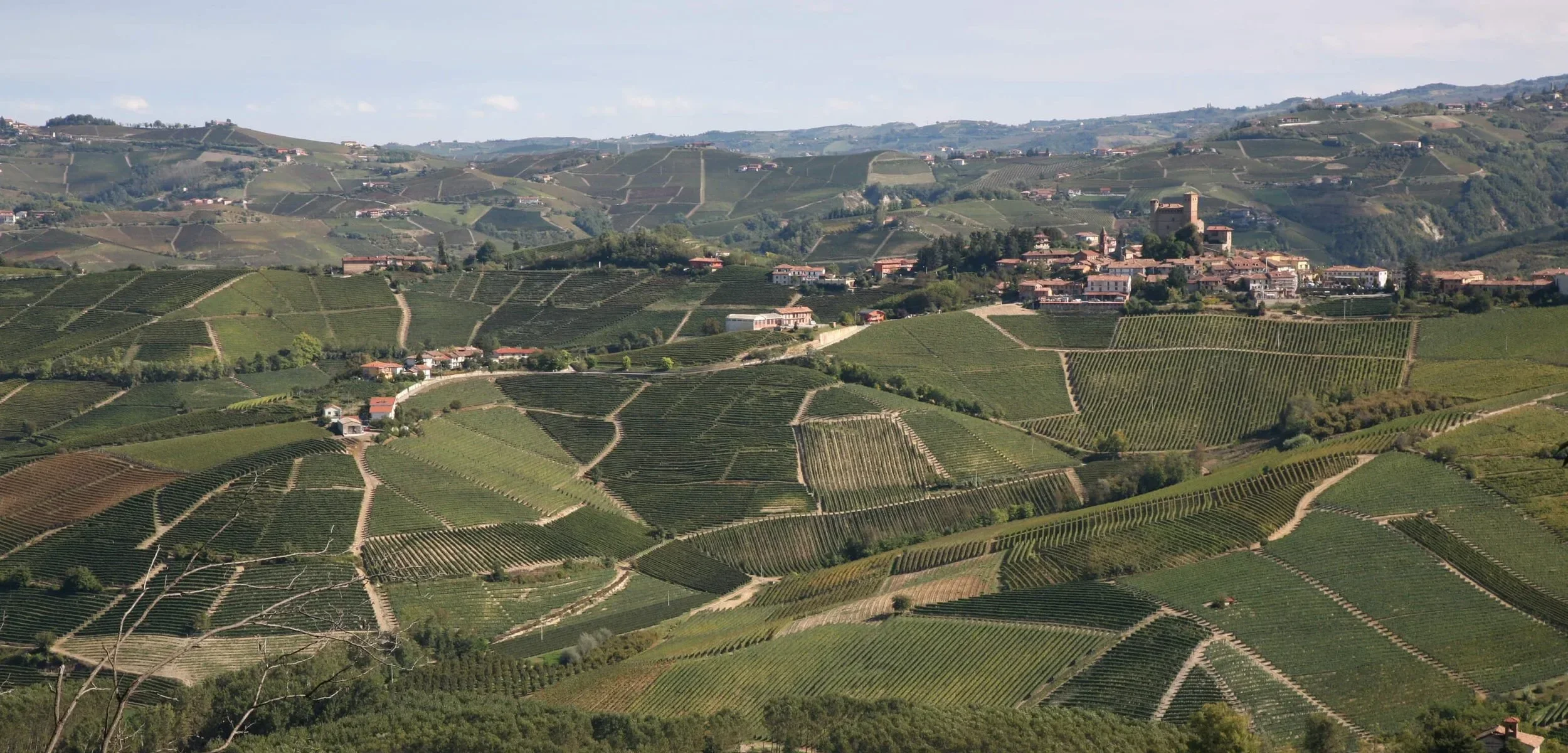 Scenic view of rolling hills covered in vineyards with small buildings and a distant hilltop village under a partly cloudy sky.