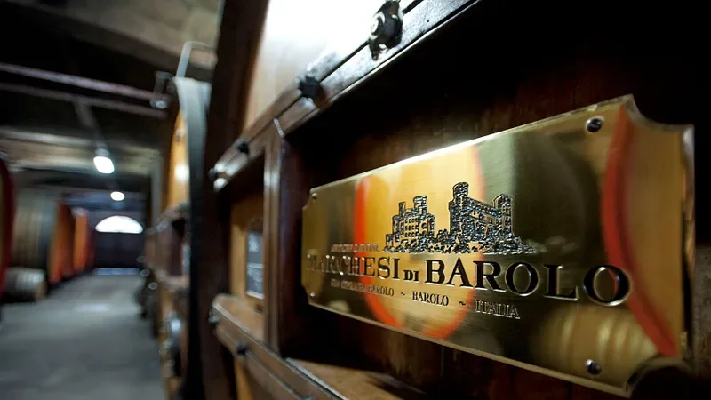 Close-up of a gold sign on a wooden wine cellar door reading "Le Vigne di Barolo, Barolo, Italia" with a painted castle illustration, inside a wine cellar or storage room.