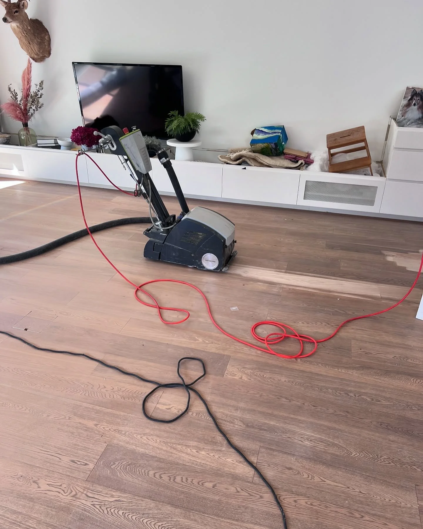 Are you a DIY superstar? You can hire our professional floor sanding machines. We will drop off and pick up as well as give you a full demo on how you can achieve great results on your floors. DM us for more information.