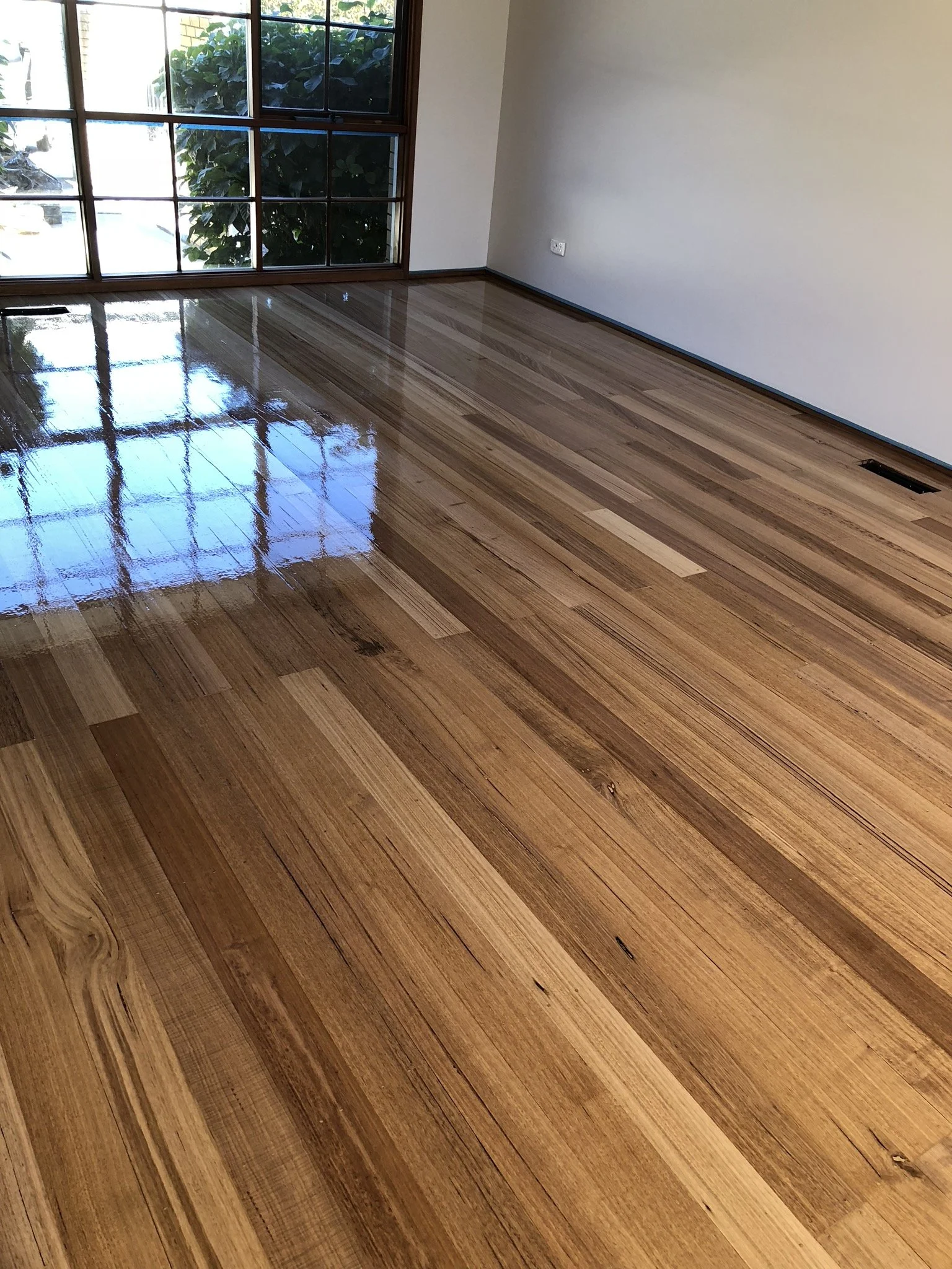 A room with highly polished wooden floorboards, a large window showing greenery outside, and a white wall with a power outlet.