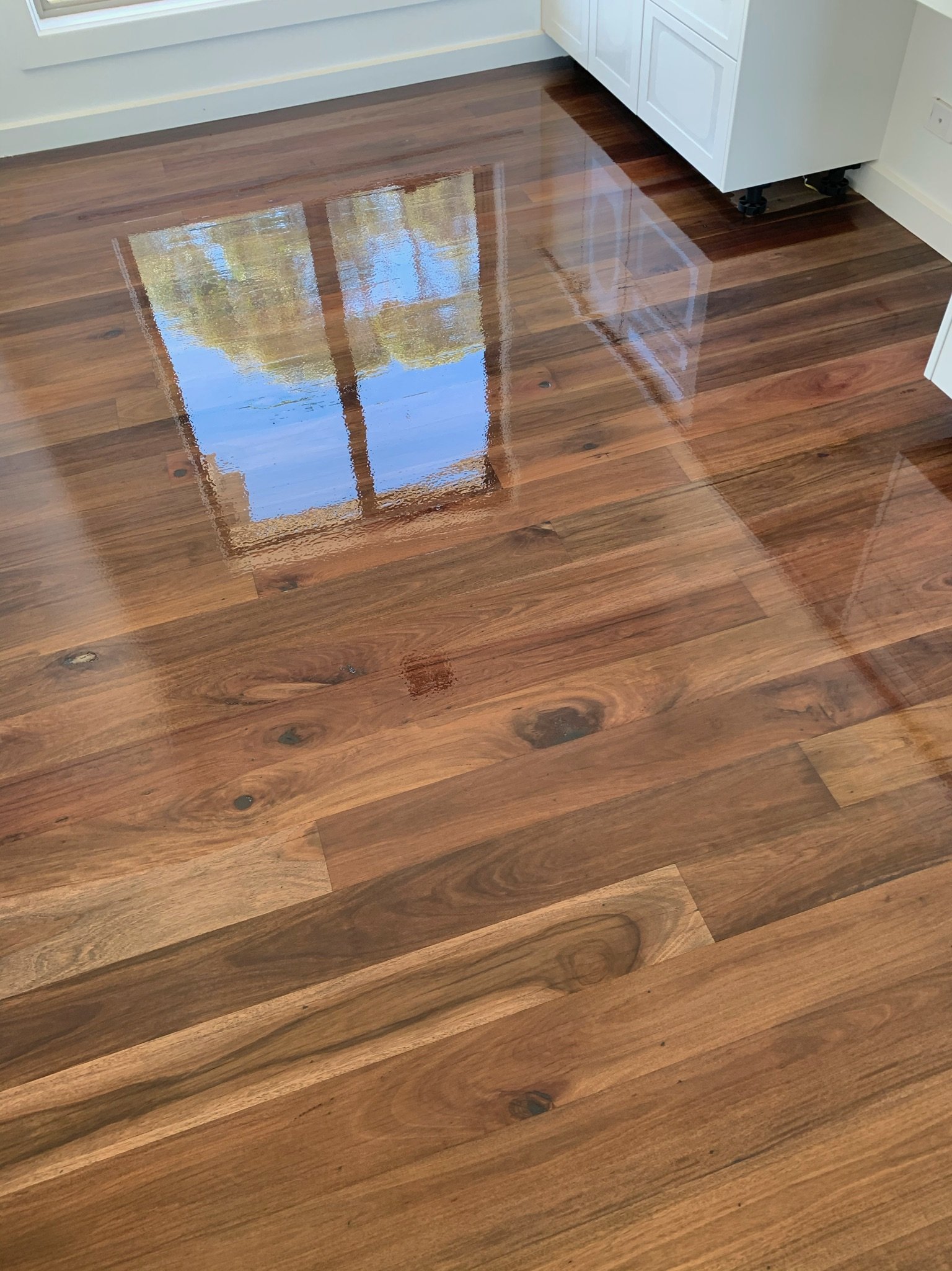 Polished hardwood floor with a clear reflection of a window showing trees outside.