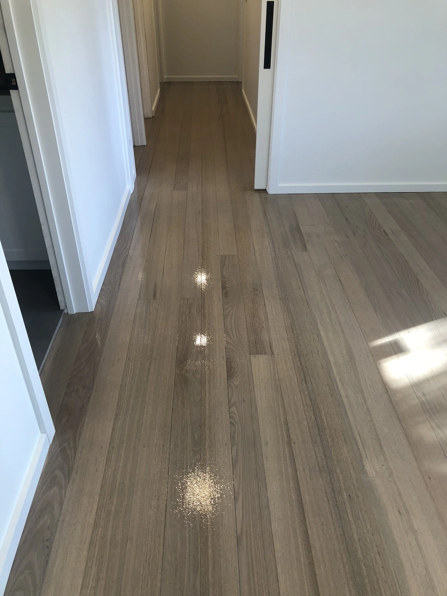 Wooden hallway floor with wet spots and reflections of ceiling lights.