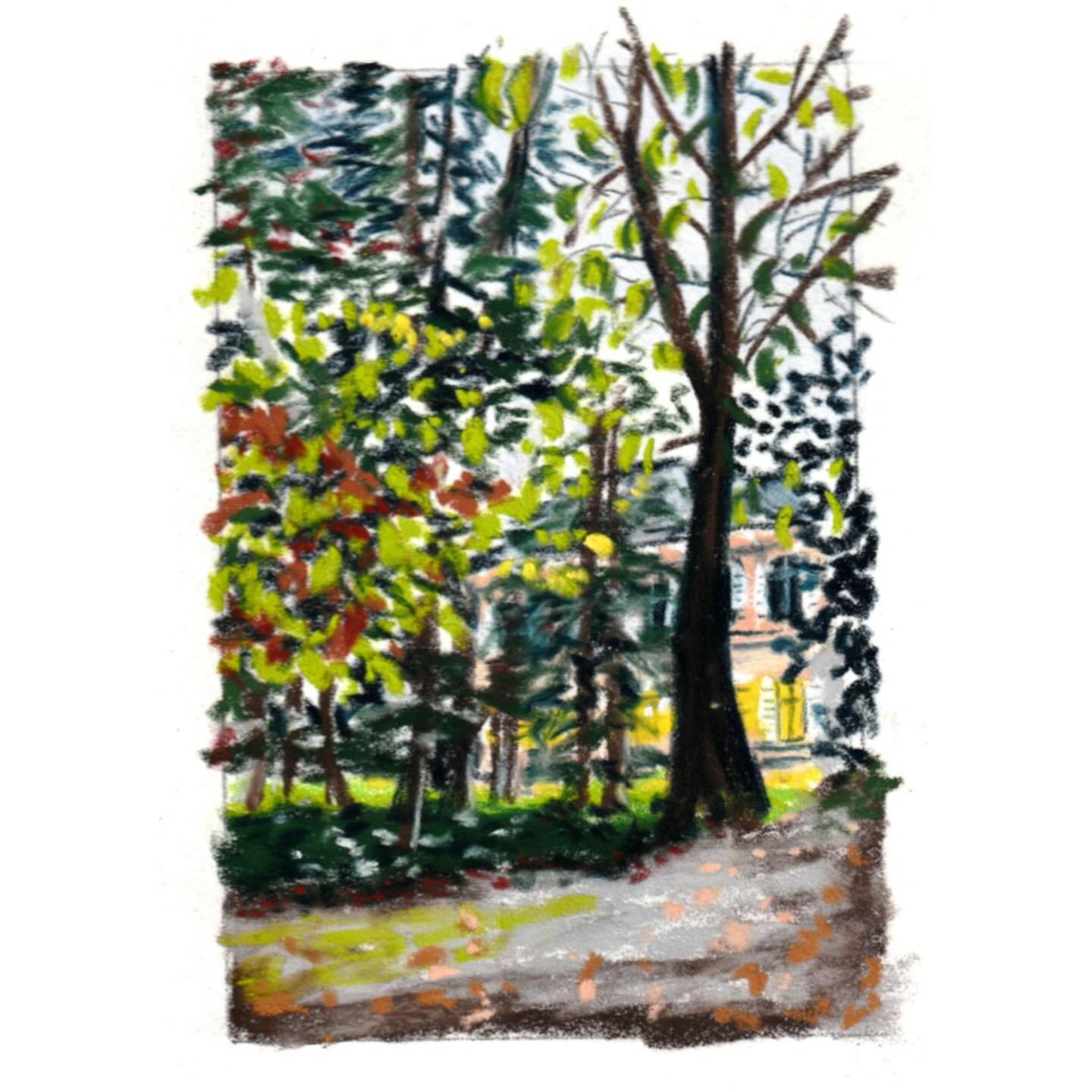 C&rsquo;EST LE SOIR&hellip;
Il est 17h un mercredi de la fin du mois de novembre. Le soir tombe d&eacute;j&agrave;, mais nous sortons nous promener. Pas trop loin, pas trop longtemps, car les enfants n&rsquo;ont pas envie&hellip; et nous poussons alo