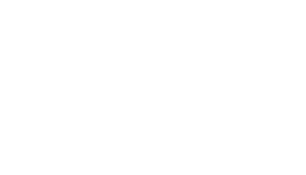 dscout_crop.png