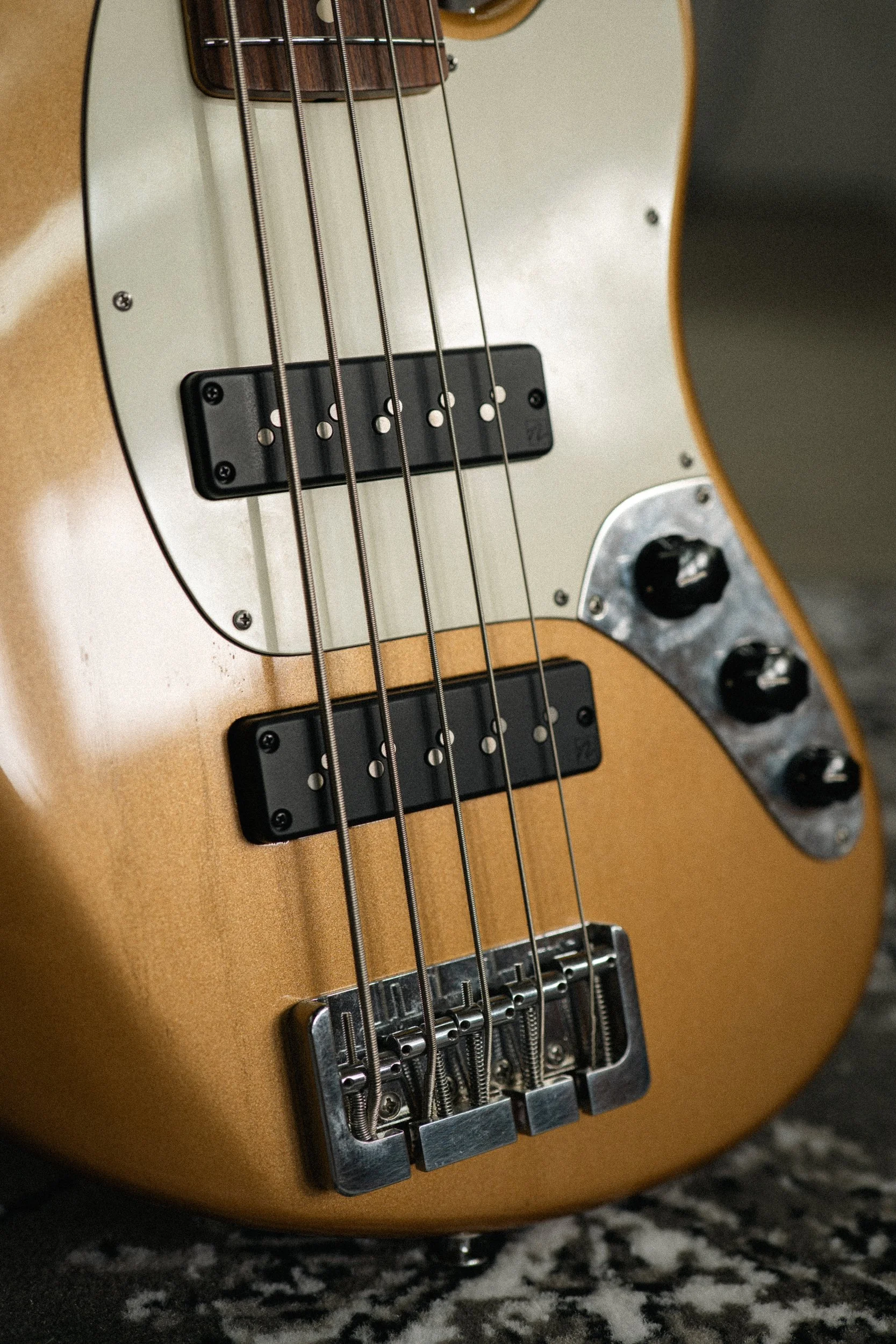 Gideon V Bass-5.jpg
