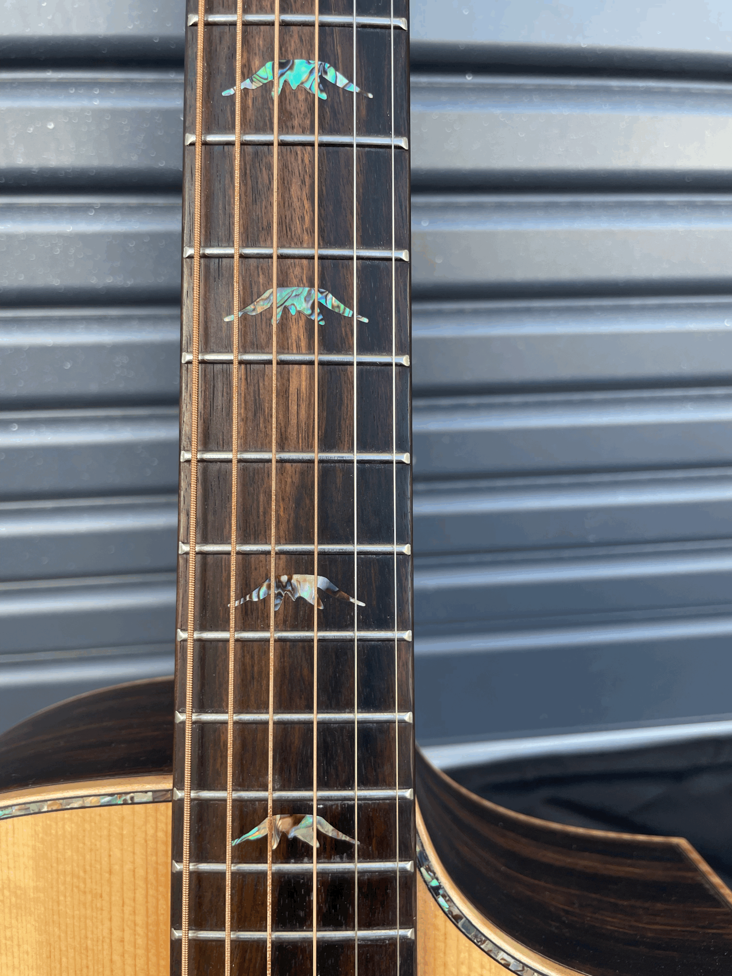 tempImageoF3CcH.gif