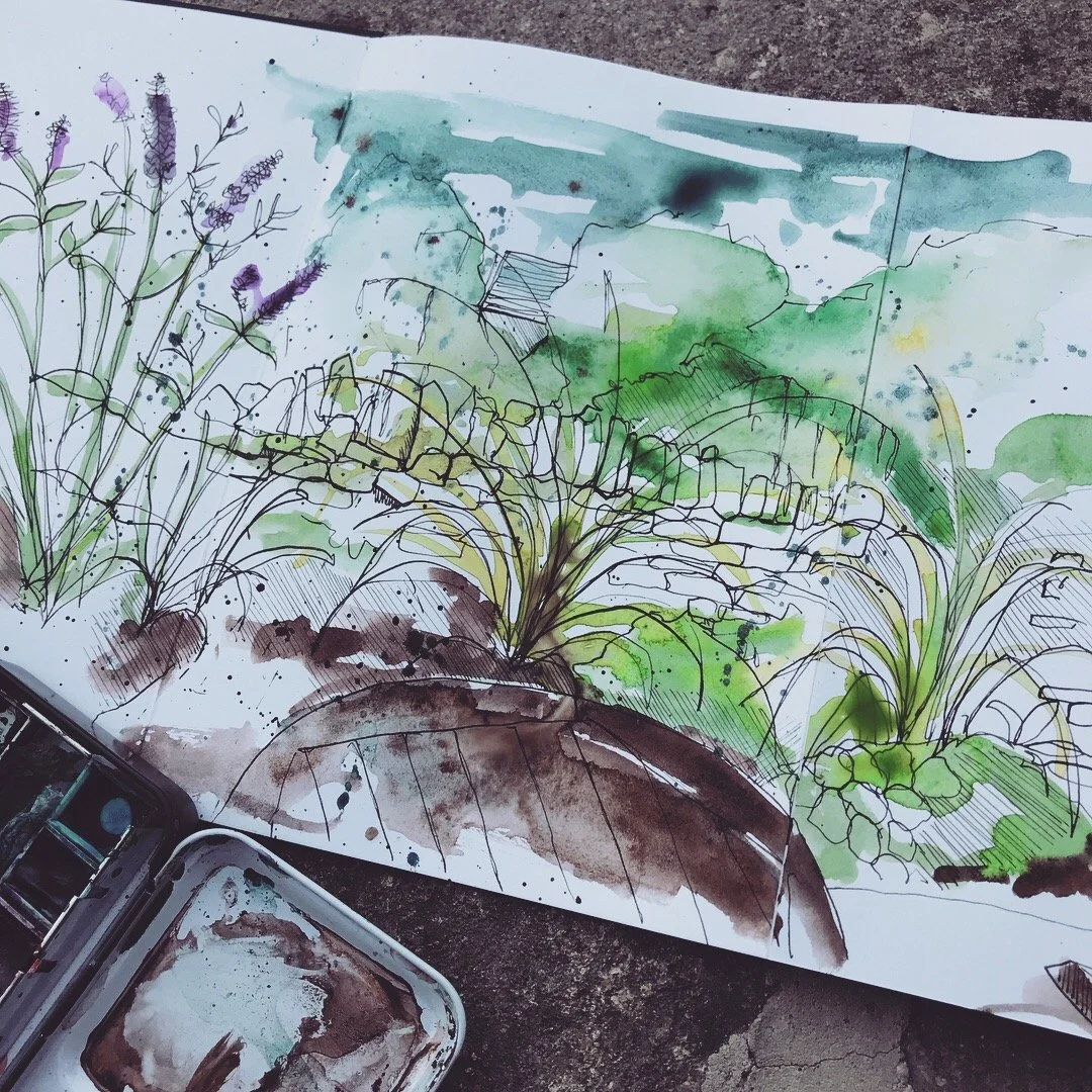 A watercolor sketch of a garden scene with plants and flowers, featuring watercolor washes and ink outlines.