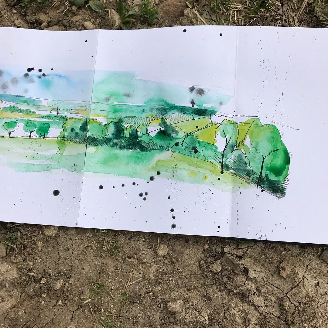 A sketch of a rural landscape with fields and trees, created with watercolor and ink, placed on the ground outdoors.