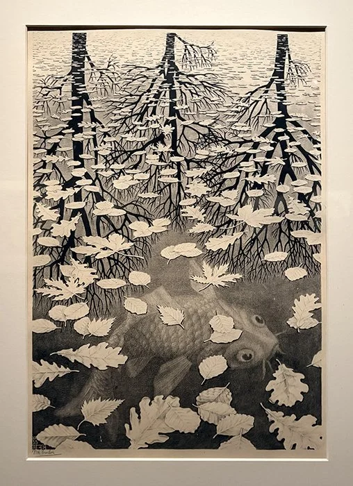 ESCHER19.jpg