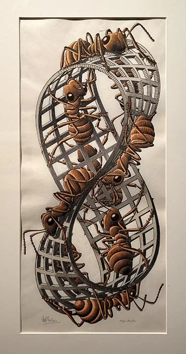 ESCHER20.jpg