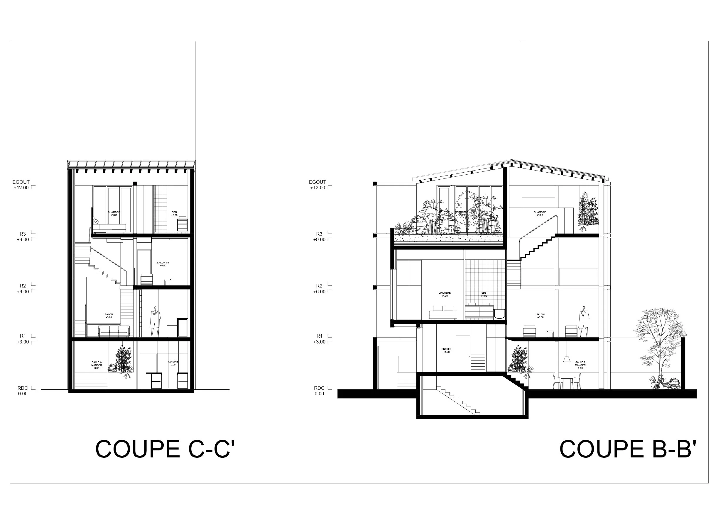 P3 - MAISON2-COUPES.jpg