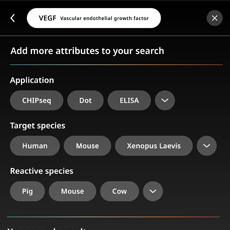 On-site search with identified filter values