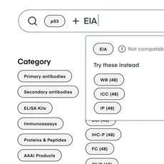 Search wireframes