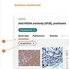 Product quick view - annotation of wireframes