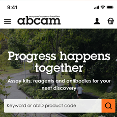 Mobile site search