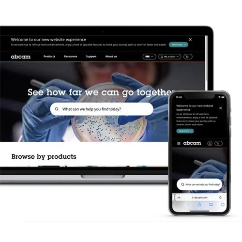 Design testing - Breakpoint visuals