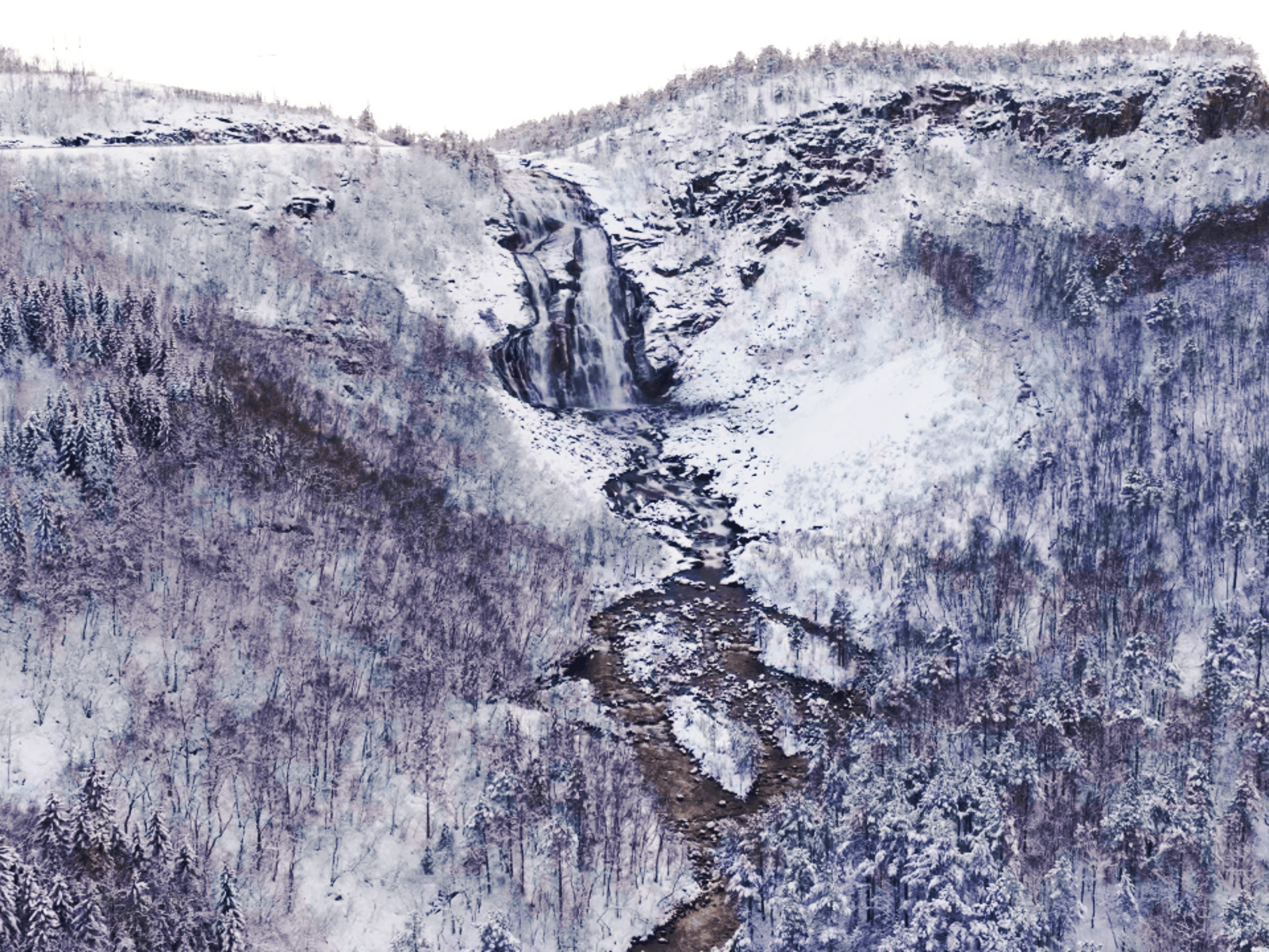 Snowshoeing with Rampen 