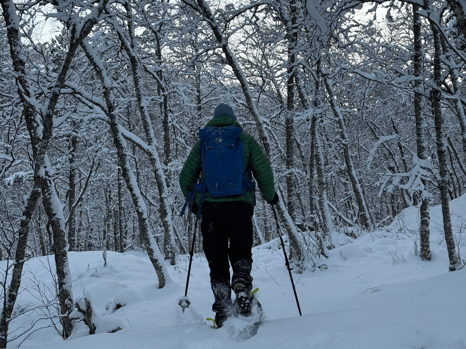 Snowshoeing with Rampen 