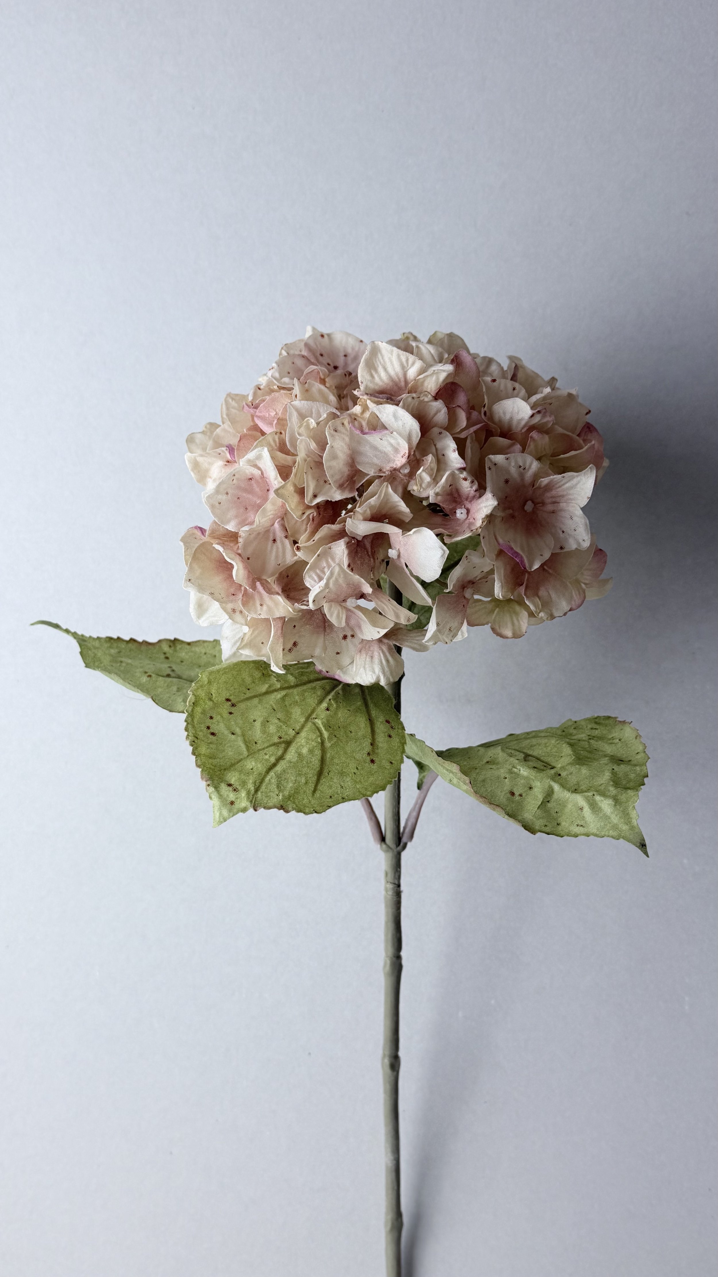 Stem-Faux- blush-pink hydrangea.jpeg