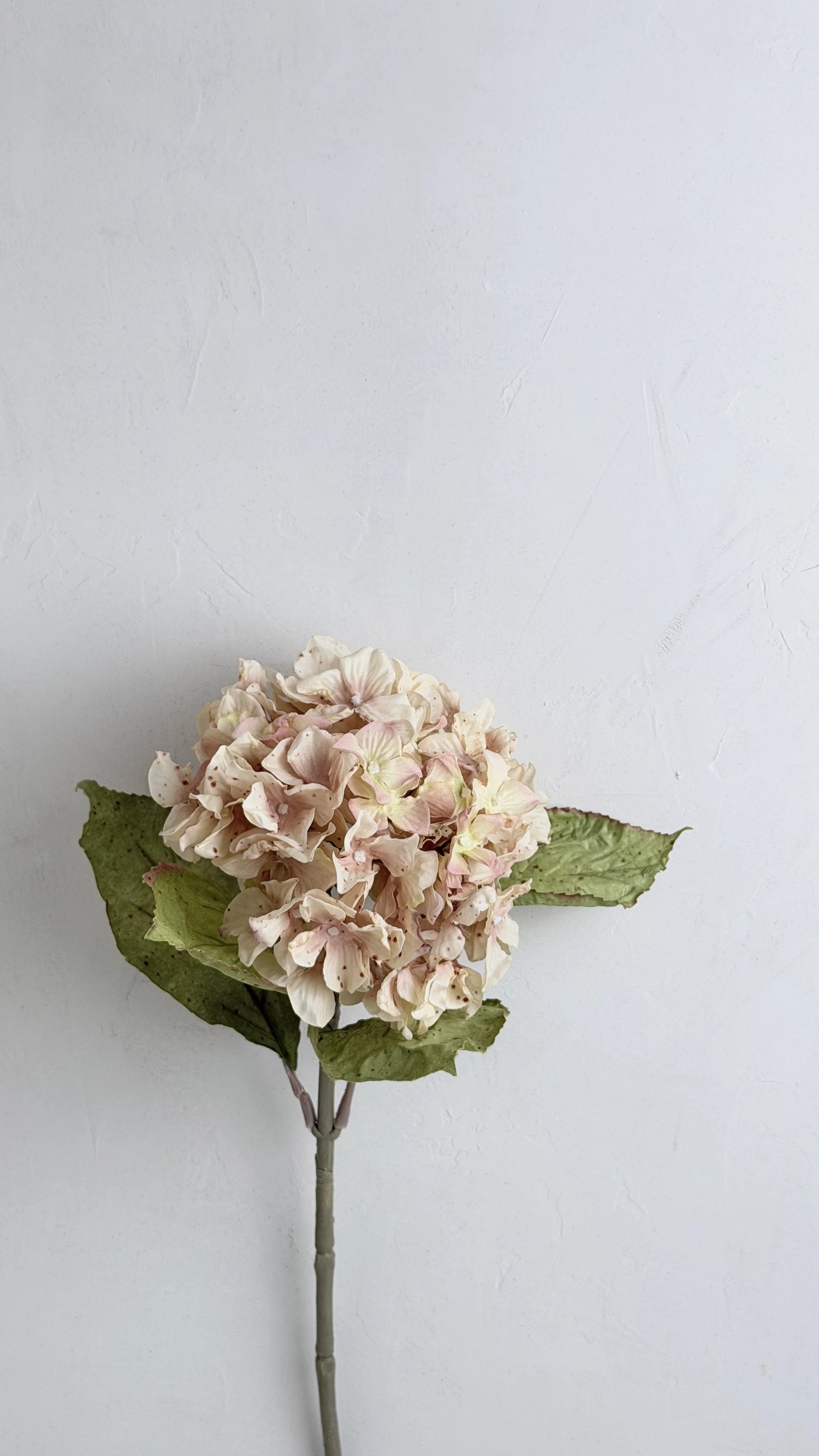 Stem faux blush-pink hydrangea.jpeg