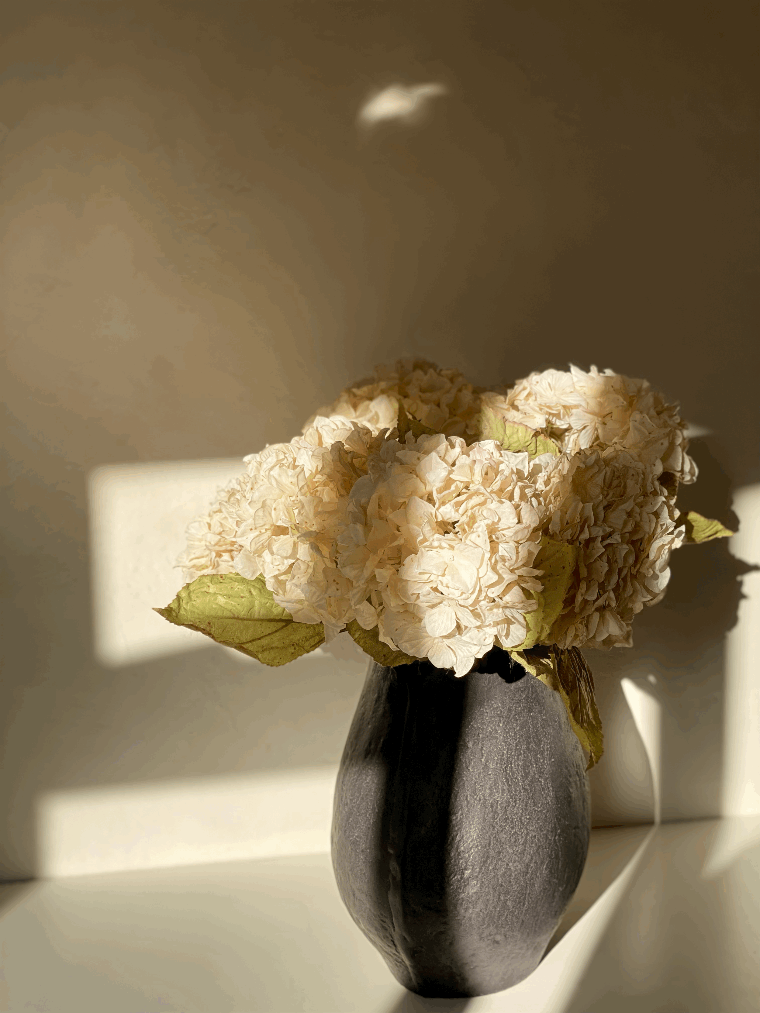 Hydrangea-faux-flower-white.gif