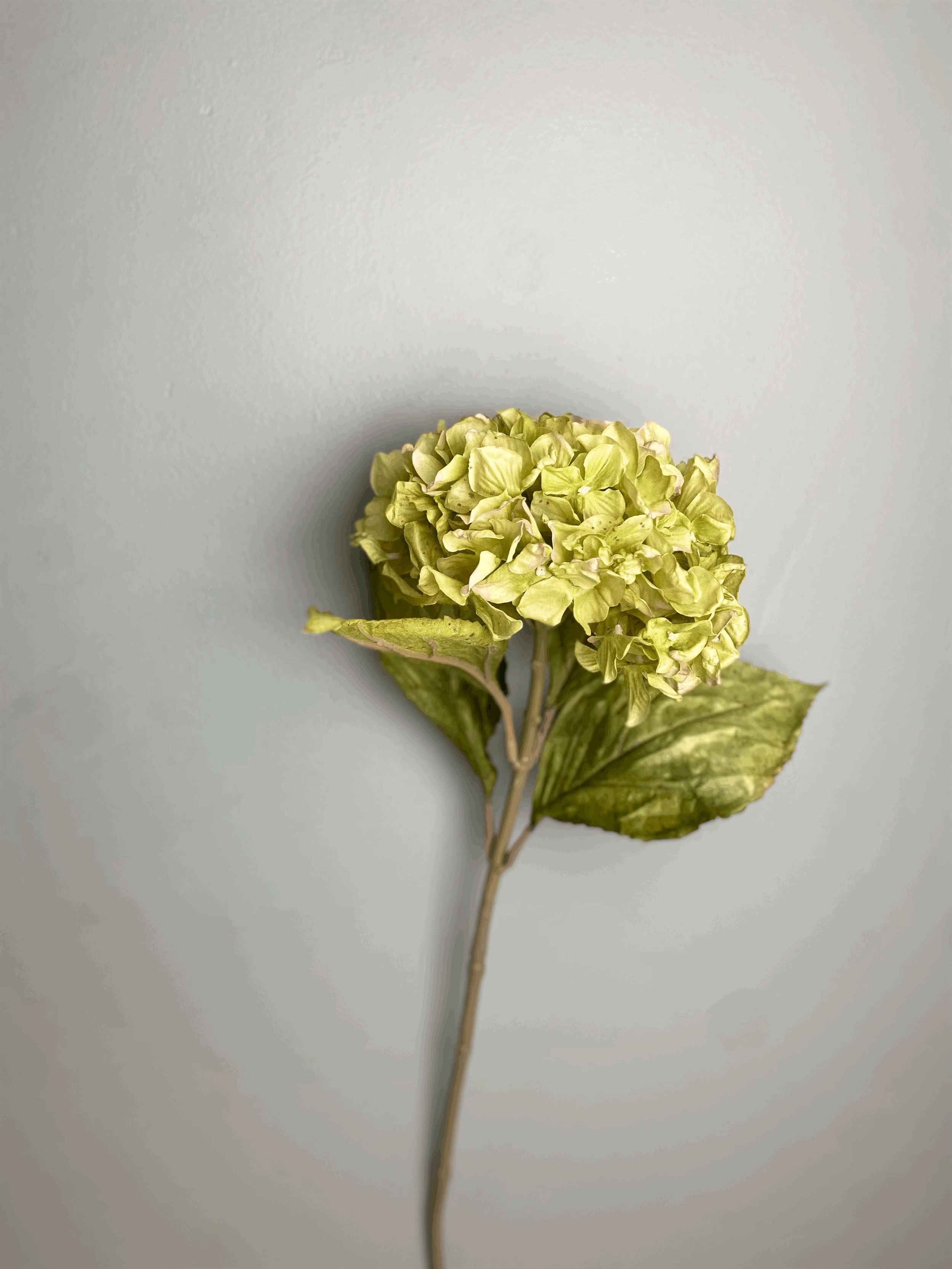 Hydrangea-faux-flower-green.gif