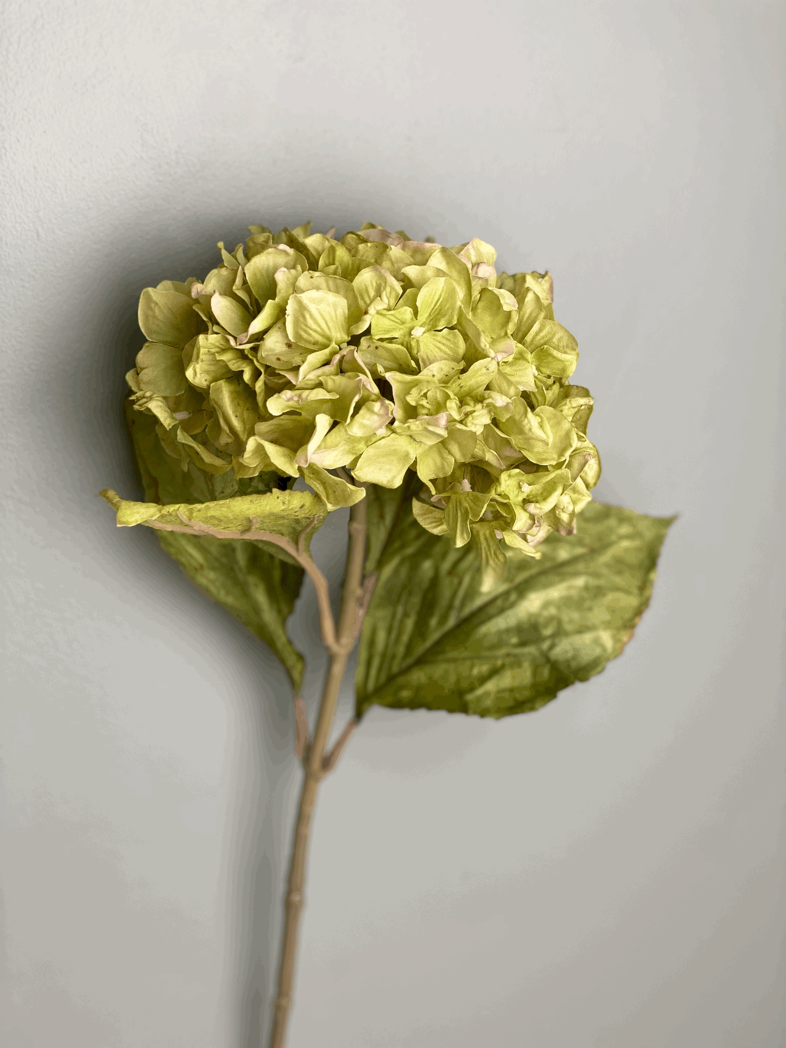 Hydrangea-faux-flower-green.gif