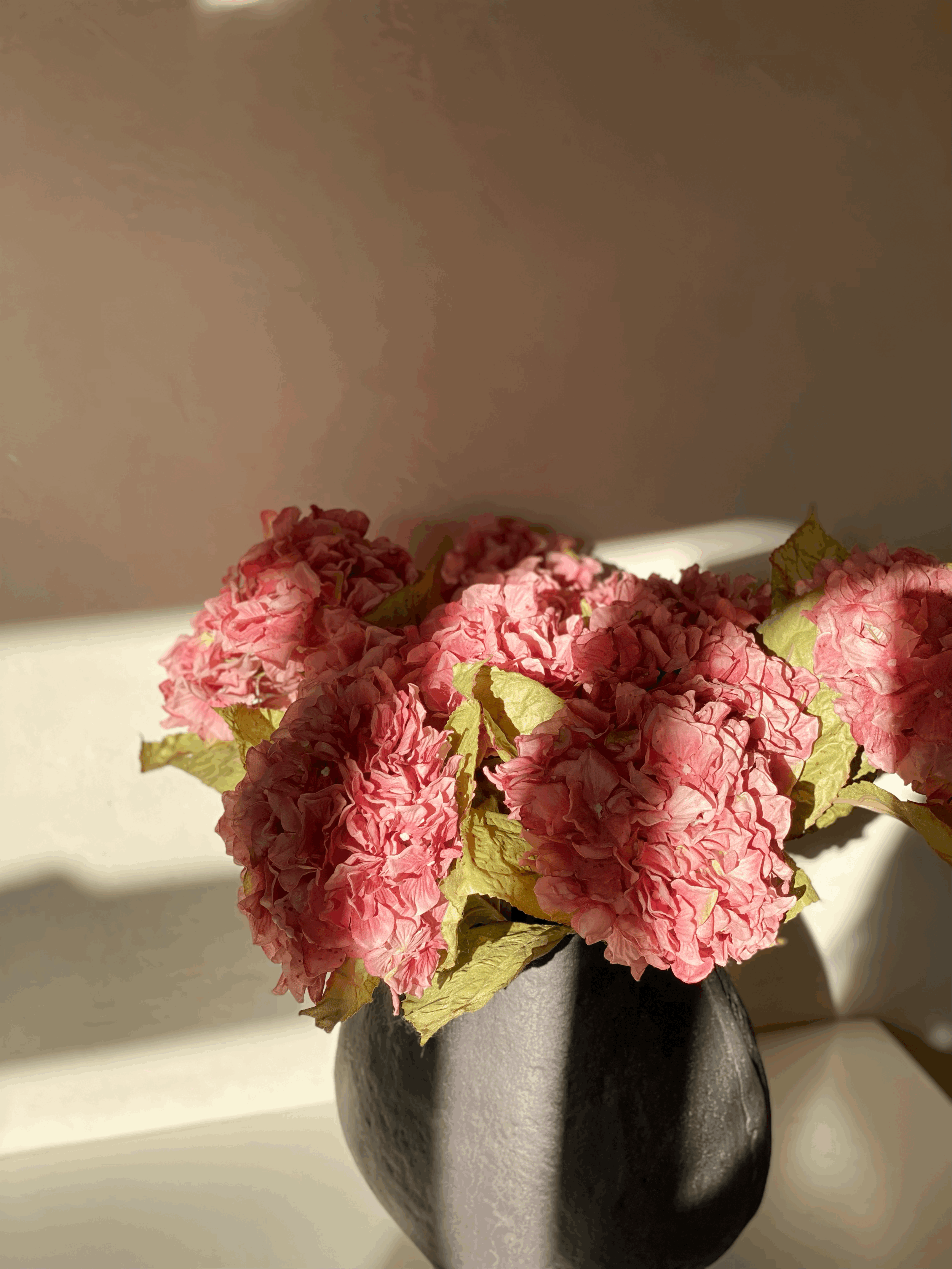 Hydrangea Stem, Dusky Pink