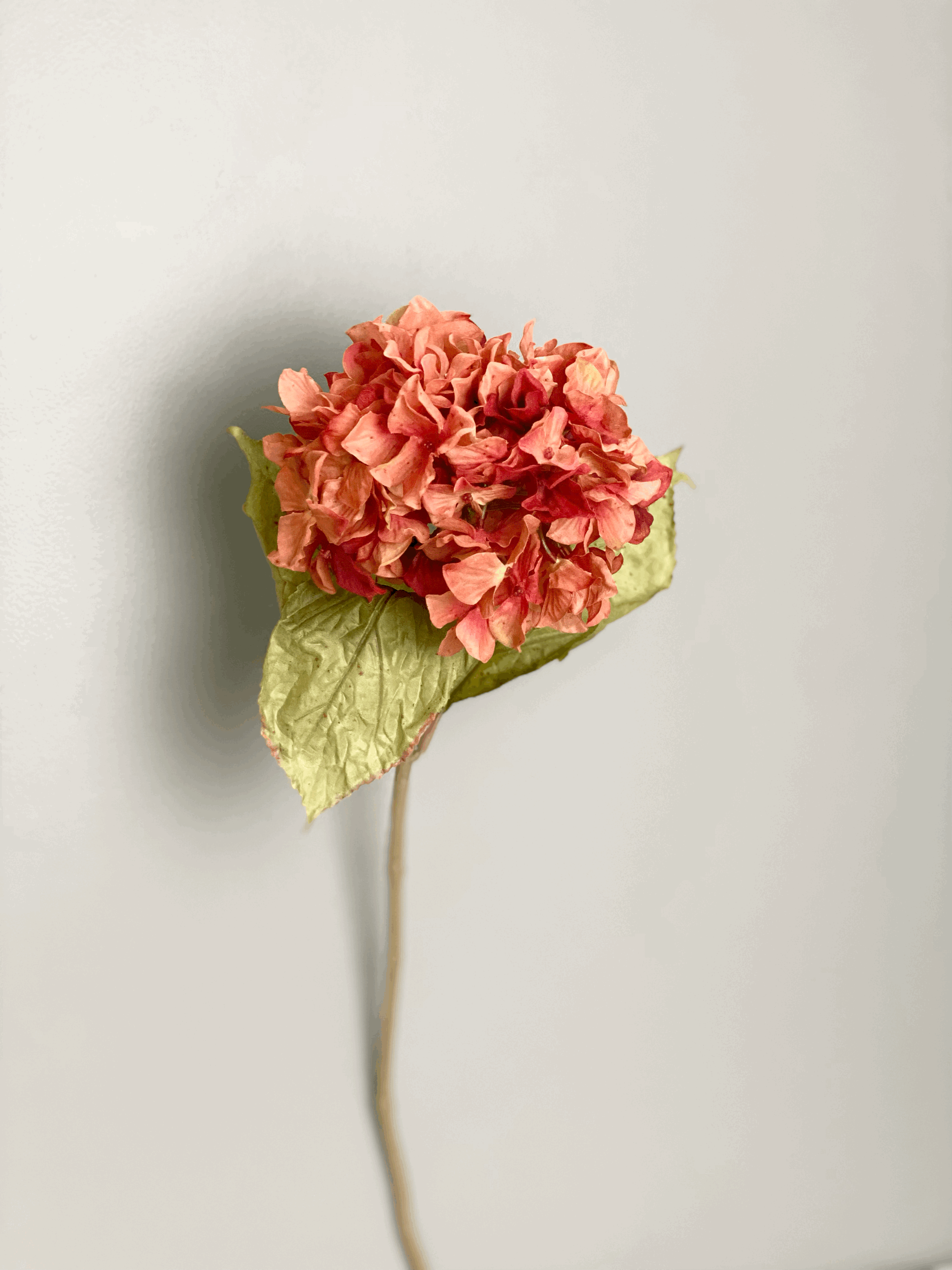 hydrangea-faux-flower.gif