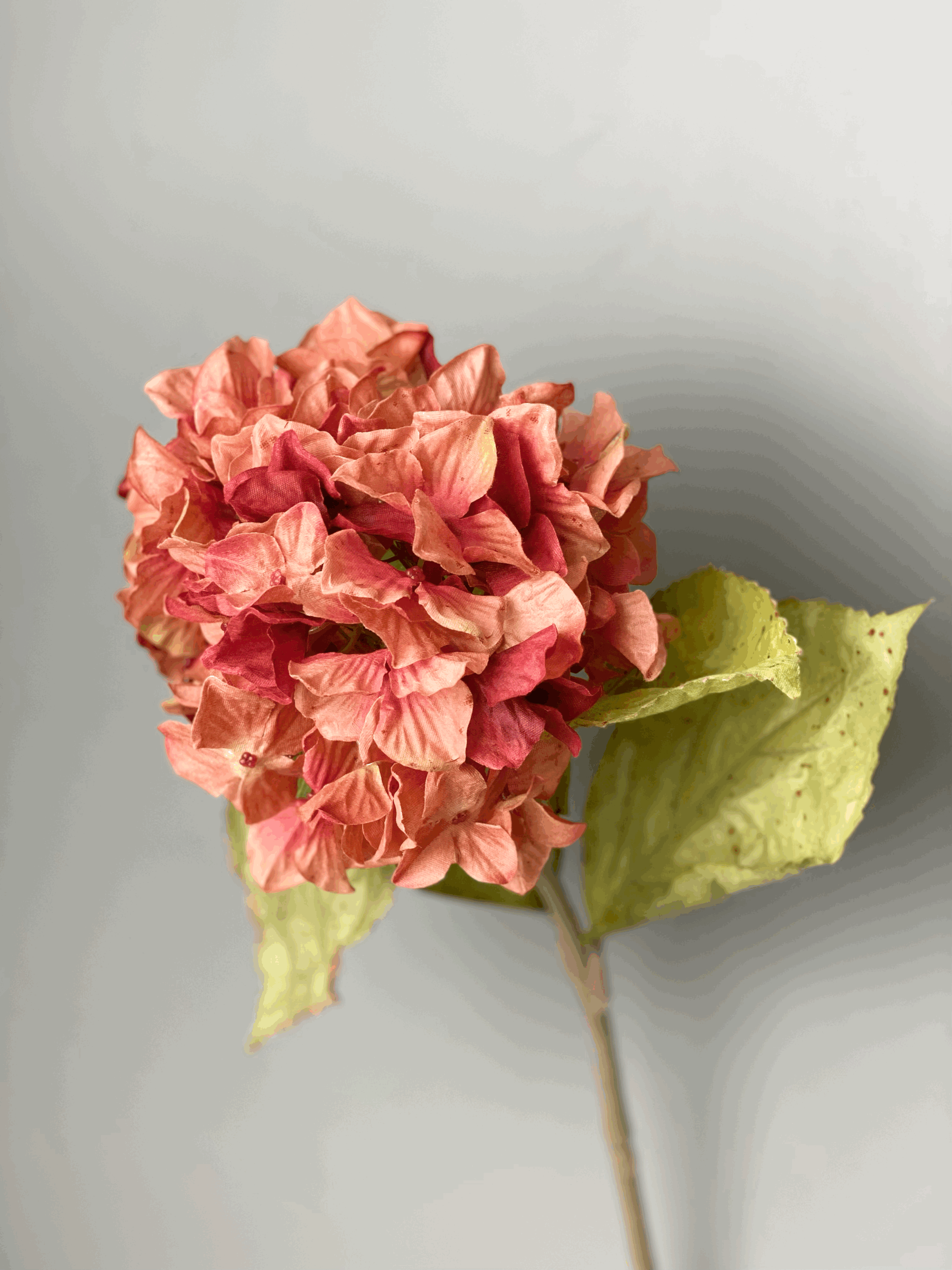 hydrangea-faux-flower.gif