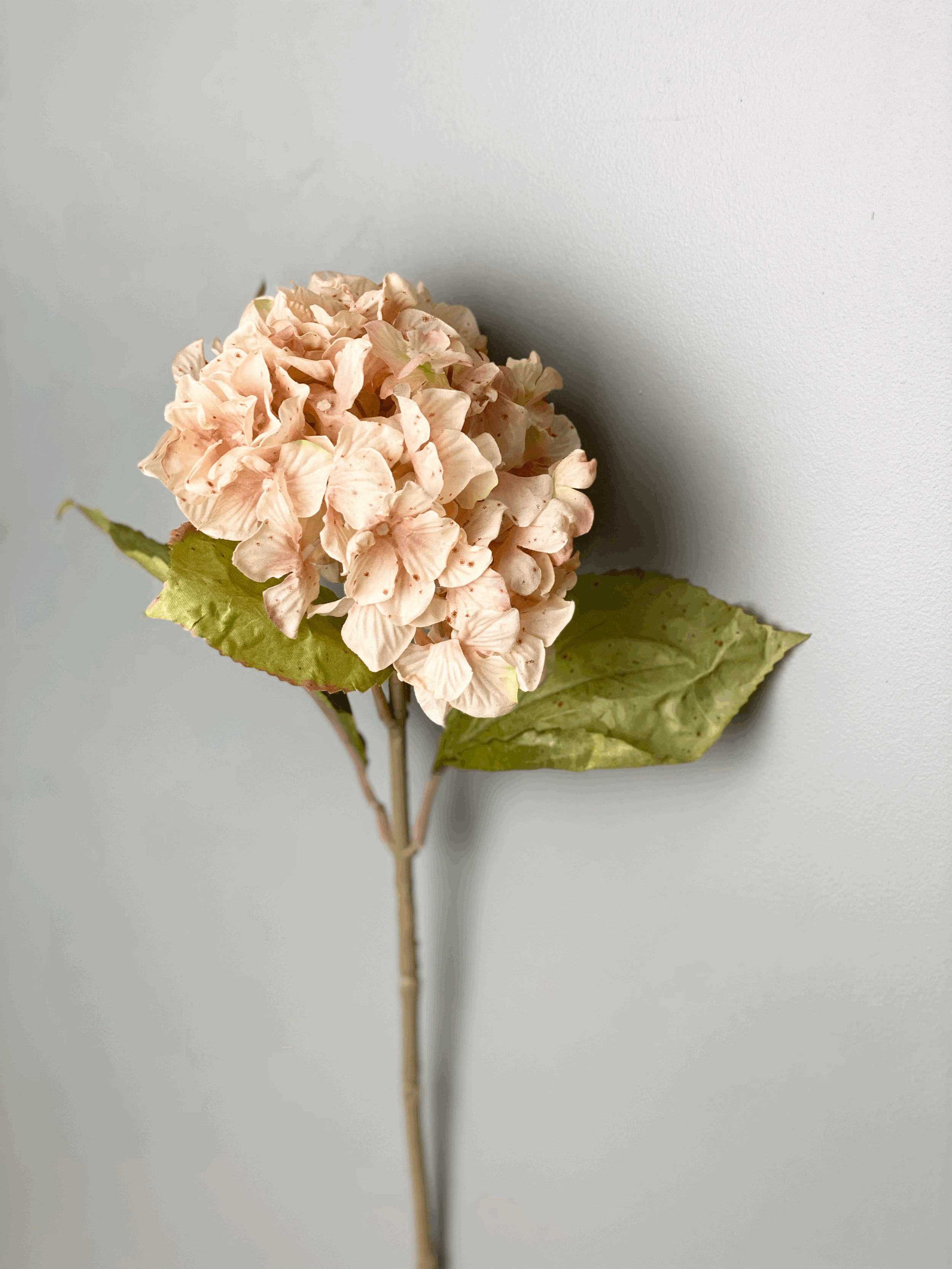 Hydrangea-faux-flower.gif