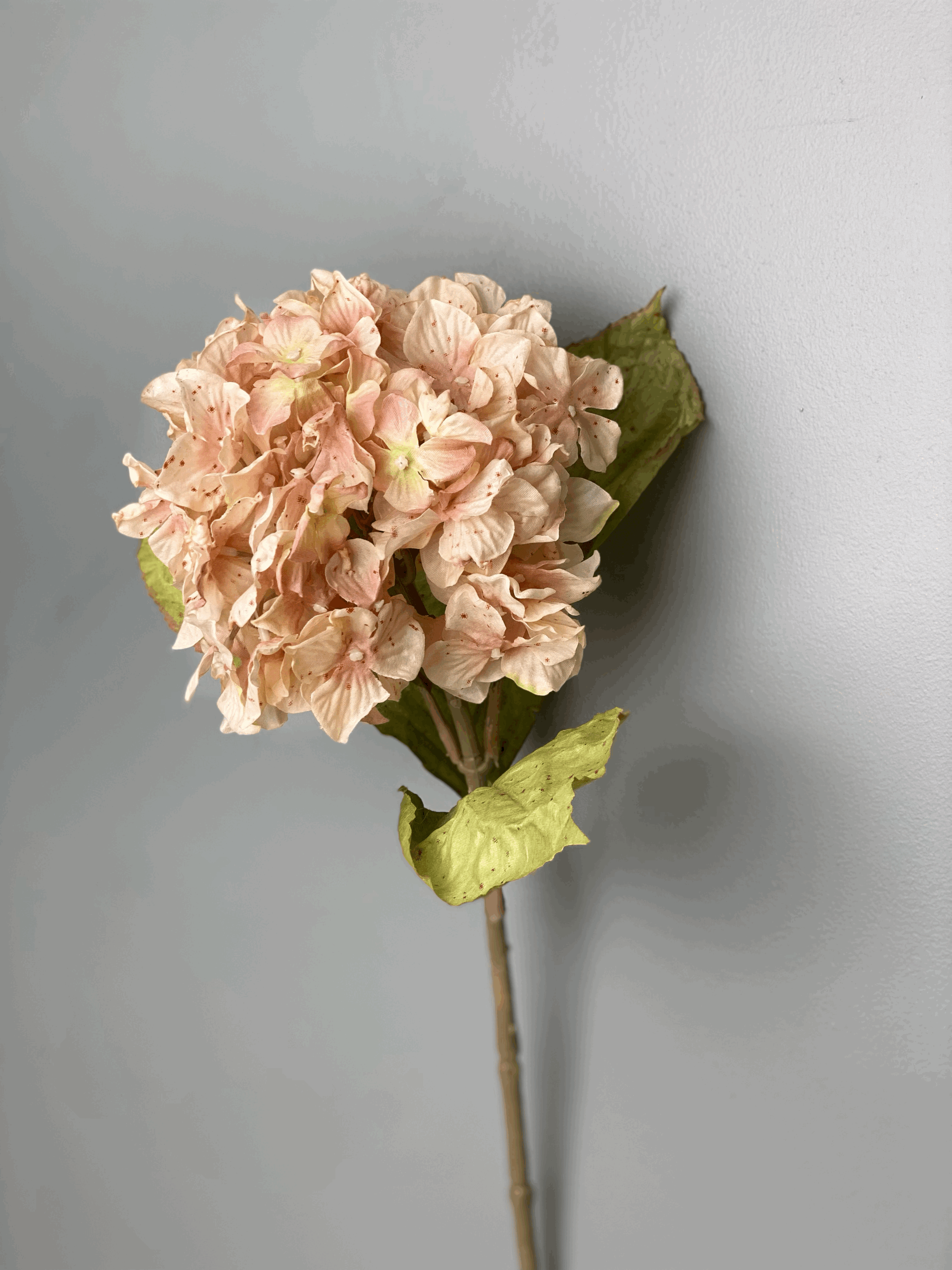 Hydrangea-faux-flower-blush-pink.gif