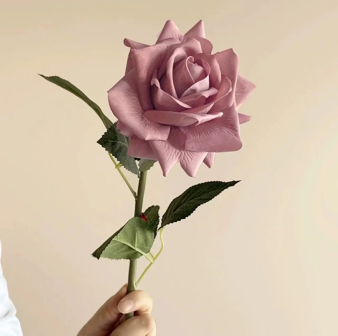 Deep+purple+rose.jpg