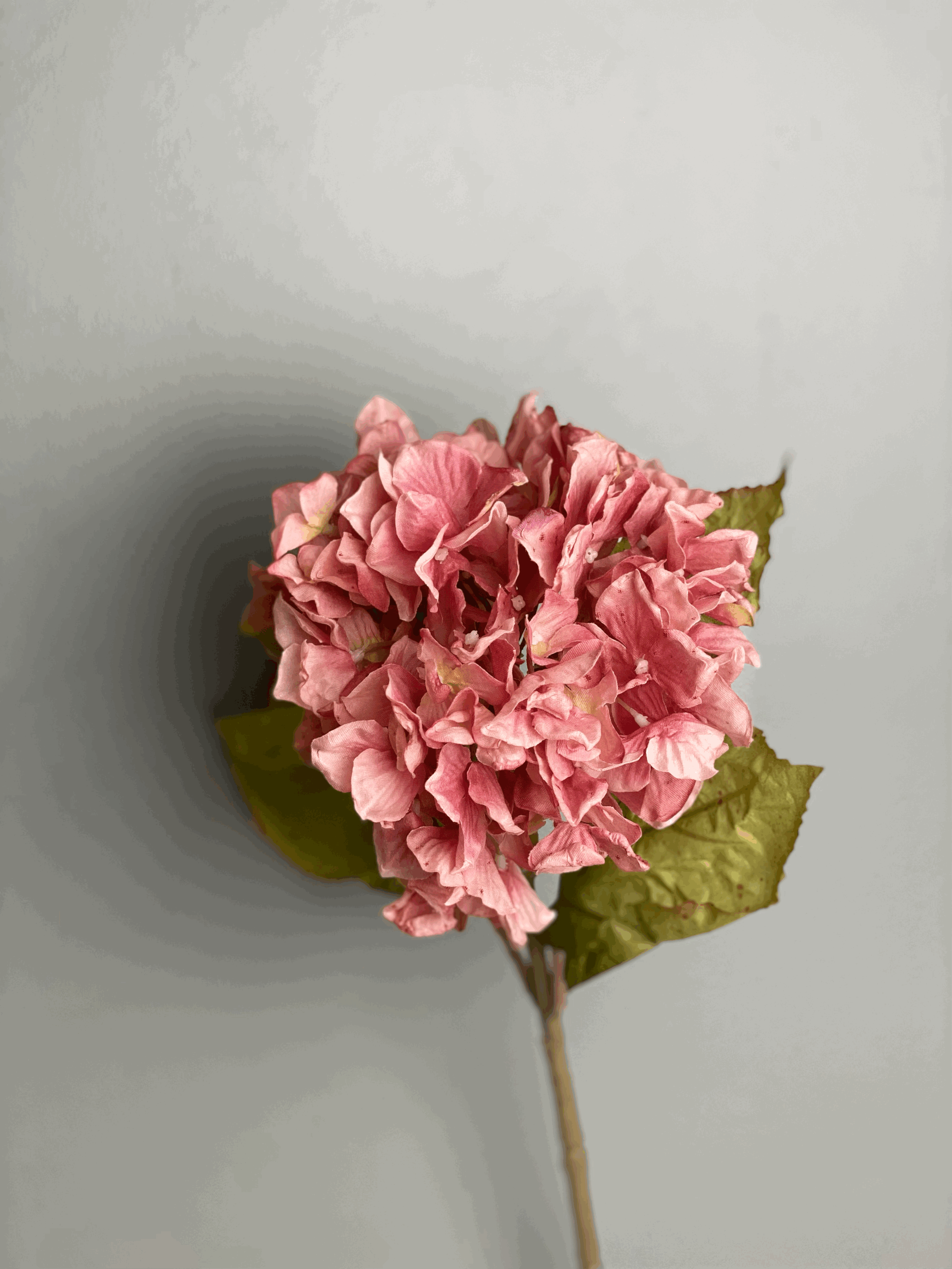 Hydrangea-faux-flower-Pink.gif