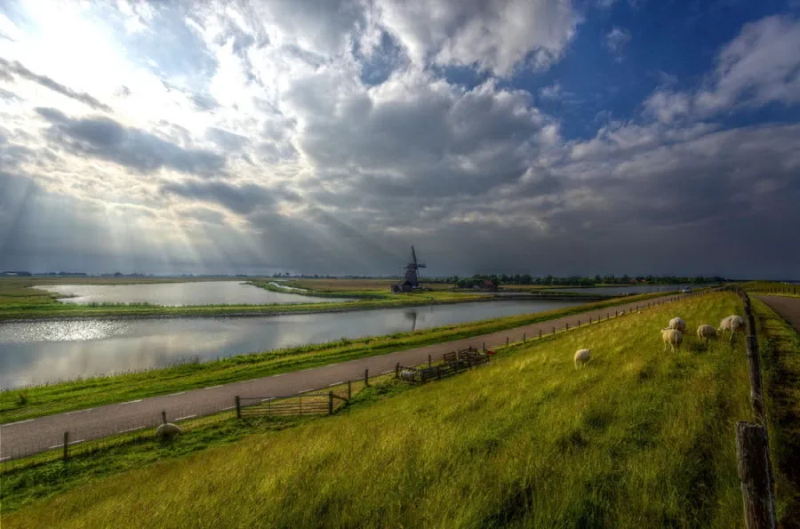 Weather in The Netherlands: What Every Expat Needs to Know