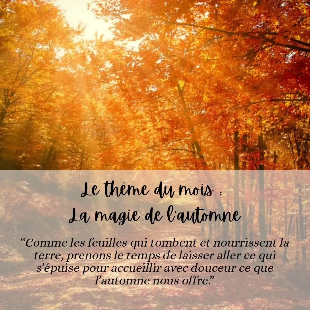 ✨ Bienvenue dans le mois de septembre ✨
L’automne s’installe doucement… 🍂
Une saison pour ralentir, se poser et laisser la nature guider nos pas.
Respire, observe, écoute le murmure des feuilles… chaque instant dev