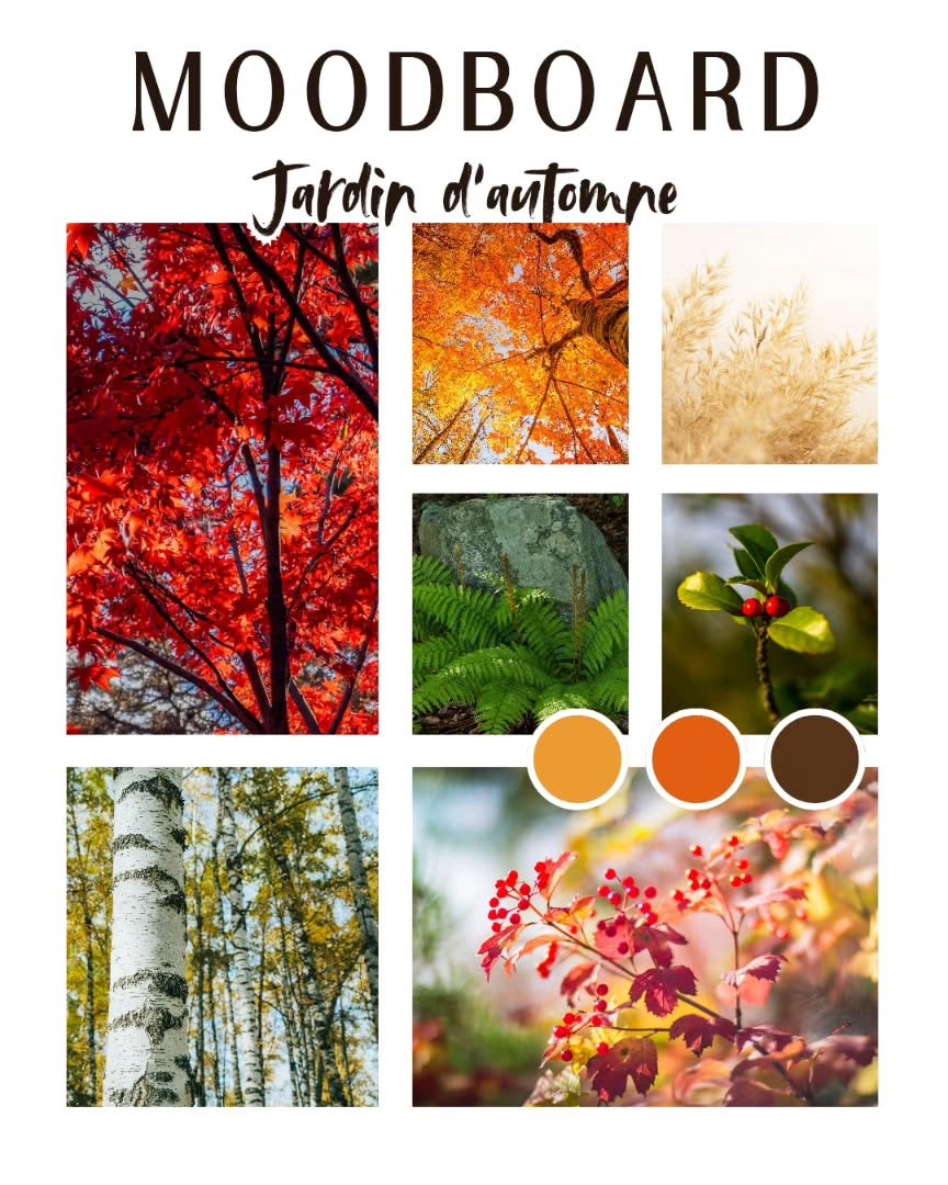 🍁 Plong&eacute;e dans l&rsquo;automne 🍁

Le jardin se transforme&hellip; Les feuilles se teintent de rouge, d&rsquo;orange et d&rsquo;or, tombent en tourbillons sur la terre humide. Les derniers fruits et baies &eacute;clatent de couleurs, et l&rsq